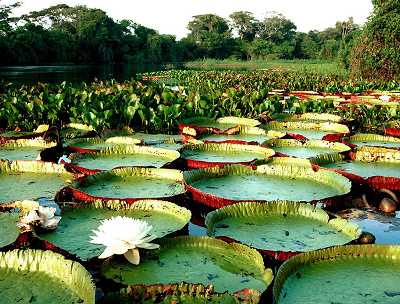 Brazil Private Tours Cruise Ships Shore Excursions 
