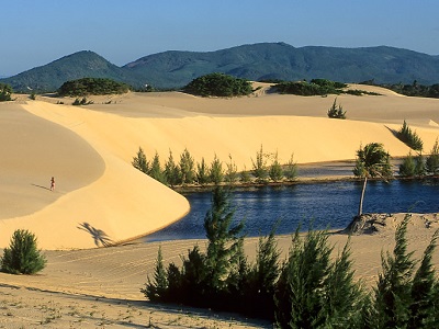 Brazil Private Tours Cruise Ships Shore Excursions 